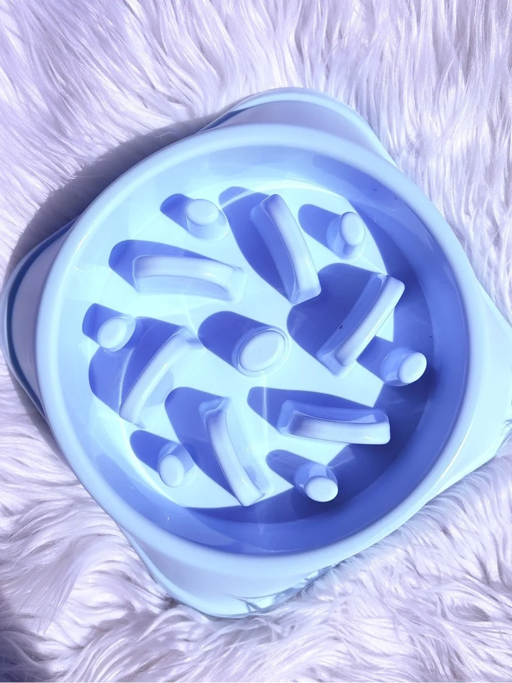 Slow Feeder Dog Bowl